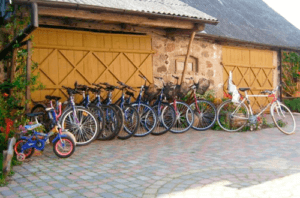 biebrza noclegi, biebrza, biebrza safari, biebrza kajaki, tratwy biebrza, biebrza zdjęcia, biebrza agroturystyka, wycieczki rowerowe