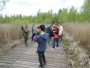 biebrza noclegi, biebrza, biebrza safari, biebrza kajaki, tratwy biebrza, biebrza zdjęcia, biebrza agroturystyka, wycieczki piesze biebrza