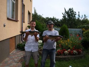 złowione dwa bolenie