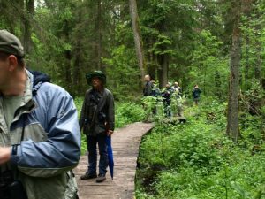 biebrza wycieczki piesze, bagna biebrzańskie