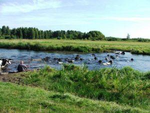 biebrza safari, biebrza, biebrza wędkowanie