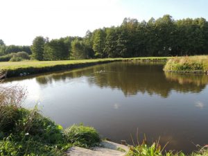 jezioro do łowienia