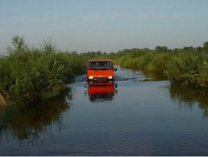 powódź nad biebrzą