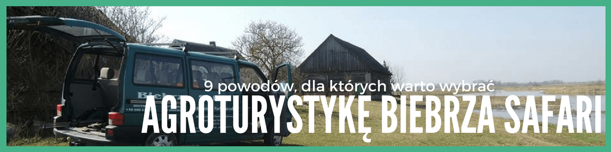 agroturystyka, biebrza, safari, biebrza noclegi, biebrza kajaki, tratwy biebrza, biebrza, biebrza safari