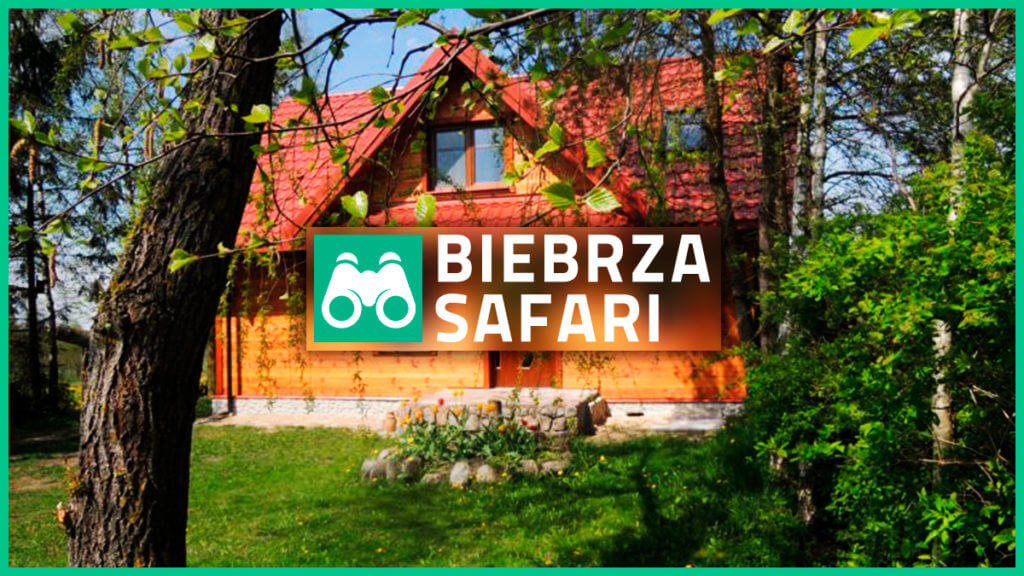 biebrzacover agroturystyka biebrza safari