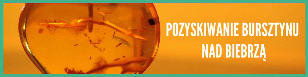 pozyskiwanie bursztynu, biebrza, pozyskiwanie bursztynu biebrza, bursztyn nad biebrzą