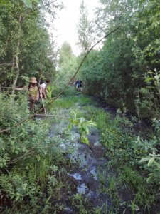 agroturystyka biebrza